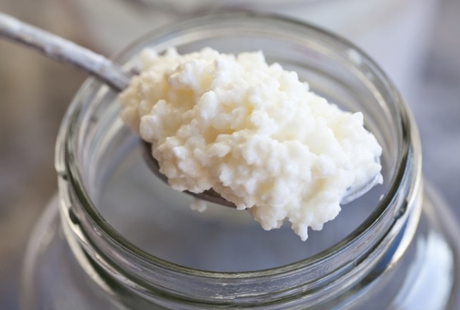 Nấm sữa Kefir và những lợi ích thần kỳ Nấm sữa Kefir và những lợi ích thần kỳ