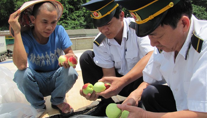 Hoa quả Trung Quốc không nhập vào Lạng Sơn Cửa khẩu Tân Thanh tăng cường kiểm tra hàng hoa quả tươi nhập từ Trung Quốc. Ảnh: Duy Chiến