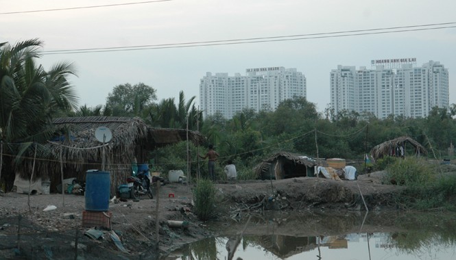 Nông dân “chui” Buổi chiều trong xóm cá không tên ở quận 7. Ảnh: T.N.A