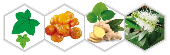 Lạm dụng kháng sinh- Thận trọng khi điều trị ho Dịch ép quả tắc, đường phèn kết hợp cao lá thường xuân và tinh dầu thảo dược giúp bổ phế, nhuận phế, giảm ho ở trẻ em