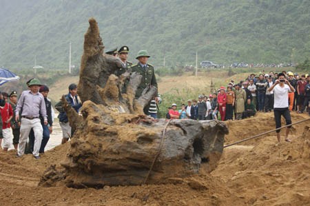 Vì sao dân Trung Quốc “phát cuồng”, đổ tiền mua gỗ sưa? Khúc gỗ sưa được trục vớt ở Quảng Bình đã nhiều phần mục nát