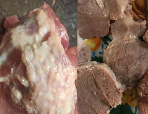 Xôn xao 'tuồn' gà thối, thịt lợn nổi hạch vào trường học gần đây Thịt lợn nổi đầy hạch trắng được phát hiện trong bếp ăn trường Mầm non Thanh Khương. Ảnh: Phụ huynh cung cấp