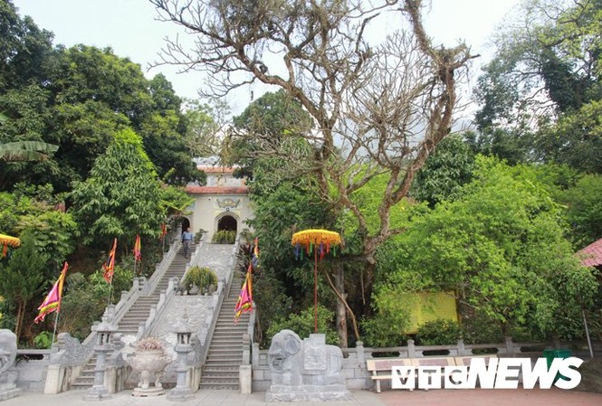 Rắn khổng lồ tu luyện thành tinh trên núi Cấm và những cuộc chạm trán kinh hoàng Đền Trung.