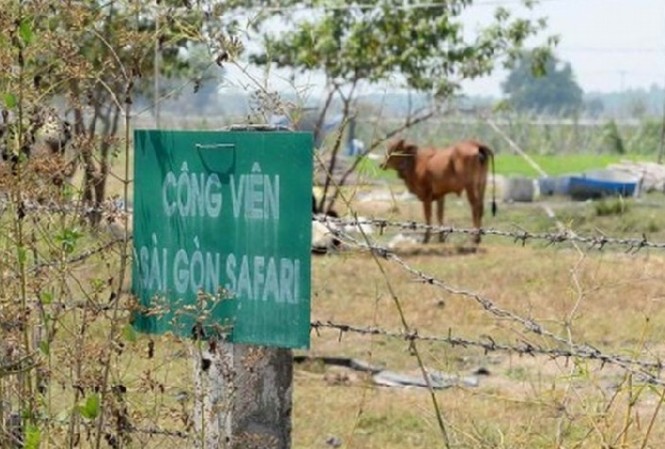 Thanh tra Chính phủ: TPHCM gây thất thoát hơn 104 tỷ tại dự án Safari Thanh tra Chính phủ: TPHCM gây thất thoát hơn 104 tỷ tại dự án Safari