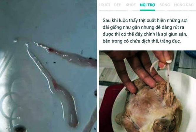 Xử phạt người đàn bà tung tin đồn thất thiệt thịt lợn nhiễm sán trên Facebook Xử phạt người đàn bà tung tin đồn thất thiệt thịt lợn nhiễm sán trên Facebook