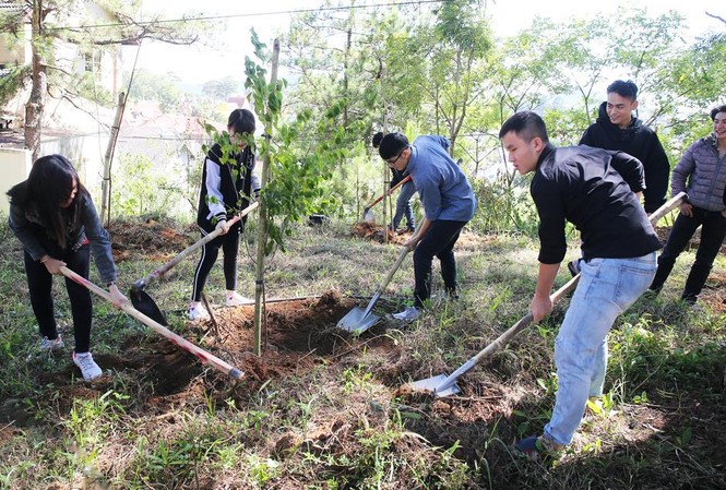 Đà Lạt trồng 6.000 cây thông và mai anh đào trong ngày sinh nhật Bác Giới trẻ trồng mai anh đào làm đẹp thành phố