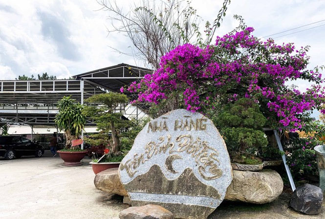 Lấn chiếm 'rừng tình' Đà Lạt làm nhà hàng hoành tráng Nhà hàng trên đỉnh đồi thuộc nội ô Đà Lạt