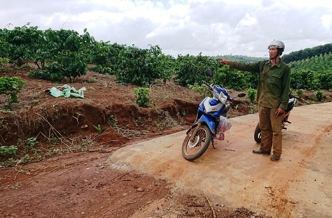 Tiền dân đóng góp, đường 'nắn' đi vào rẫy doanh nghiệp Đường bê tông “nắn” vào rẫy của ông Trần Đình Hạnh - Giám đốc Công ty TNHH MTV Xây dựng HBBT rồi dừng