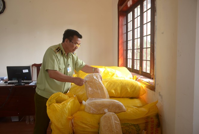 Bắt giữ 1,1 tấn ruốc thịt gà không nguồn gốc đang mang tiêu thụ Bắt giữ 1,1 tấn ruốc thịt gà không nguồn gốc đang mang tiêu thụ