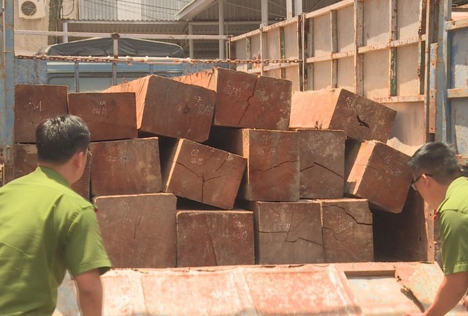 Tài xế chở gỗ lậu tông ô tô vào xe công an để thoát thân Công an kiểm tra xe chở gỗ không hóa đơn chứng từ
