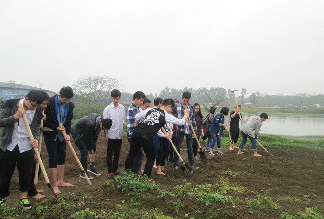 Học sinh cần học gì ở trung học phổ thông Học sinh FPT trải nghiệm dự án trồng rau sạch tại khuôn viên trường