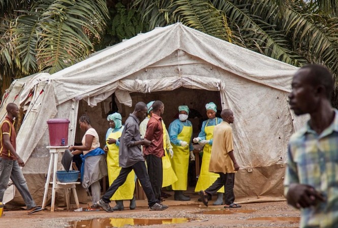 Bộ Y tế họp khẩn, xác định nguy cơ dịch bệnh Ebola vào Việt Nam Bộ Y tế họp khẩn, xác định nguy cơ dịch bệnh Ebola vào Việt Nam