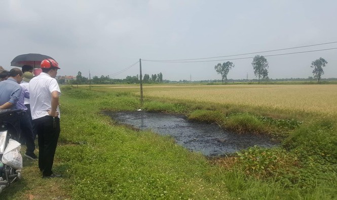 Xác định nghi phạm đổ chất thải độc hại ra mương nước khiến cây cỏ chết cháy Xác định nghi phạm đổ chất thải độc hại ra mương nước khiến cây cỏ chết cháy