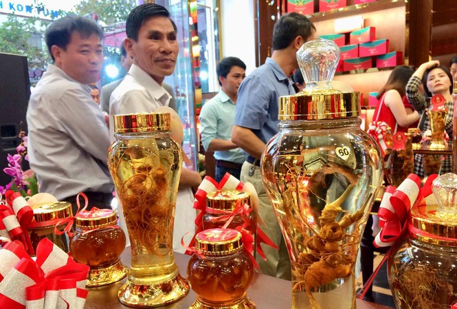 Kon Tum có cửa hàng đầu tiên bán sâm Ngọc Linh Người dân tỉnh Kon Tum đến xem các sản phẩm từ sâm Ngọc Linh
