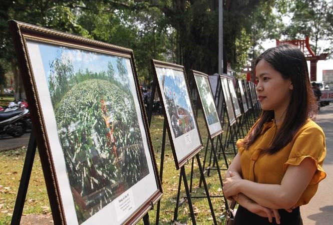 Triển lãm ảnh 44 năm chiến thắng Buôn Ma Thuột Du khách tham quan triển lãm ảnh chiến thắng Buôn Ma Thuột