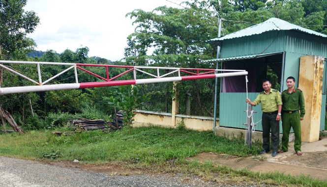 Bối rối vì lãnh đạo huyện cấm vận chuyển quặng vàng Trạm kiểm soát tại thôn 4, Phước Đức (Phước Sơn) ngăn chặn việc vận chuyển quặng carbon từ nhà máy vàng Bồng Miêu qua nhà máy Phước Sơn. Ảnh : Ý Phạm.