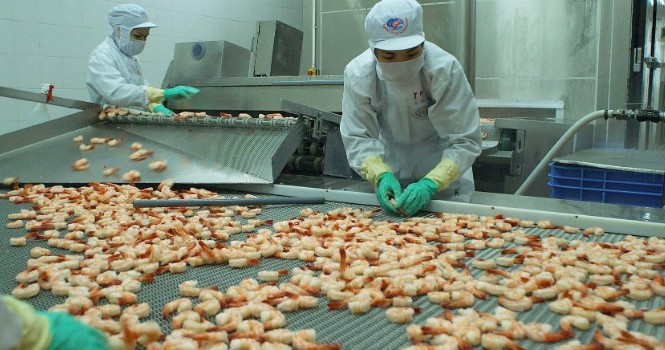 Nhiều rủi ro khi xuất khẩu thủy sản sang Trung Quốc Nhiều rủi ro khi xuất khẩu thủy sản sang Trung Quốc