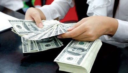 Sau lãi suất USD 0% sẽ hạn chế huy động ngoại tệ Ảnh minh họa