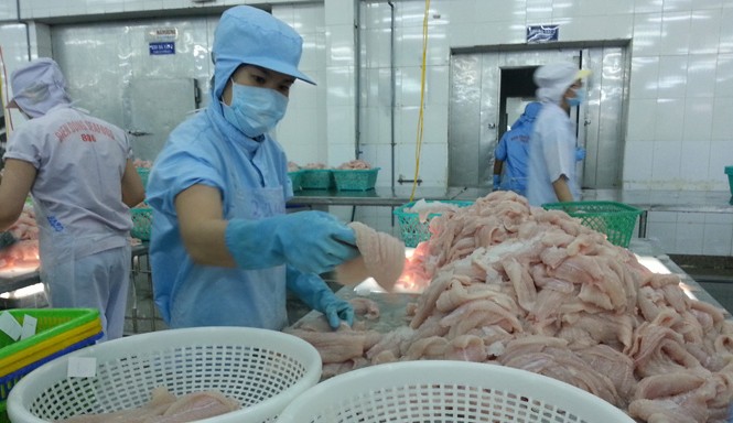Tham tán thương mại phải vì lợi ích quốc gia Hàng thủy sản của Việt Nam thời gian tới xuất khẩu sẽ gặp nhiều rào cản hơn từ các nước và các tham tán thương mại sẽ phải gánh trách nhiệm nặng nề hơn. Ảnh: Thục Quyên.