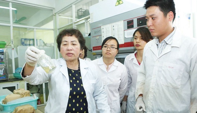 Nhà khoa học nữ dãi dầm với dioxin PGS.TS Đặng Thị Cẩm Hà hướng dẫn các nghiên cứu sinh trong phòng thí nghiệm.
