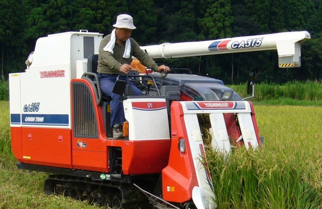 Gom đất nông nghiệp bỏ hoang vào ngân hàng Gom đất nông nghiệp bỏ hoang vào ngân hàng
