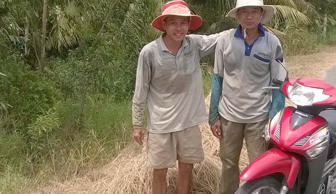 Hàng trăm nghìn con bò khát nước trong hạn, mặn Ông Nguyễn Văn Nam (bìa phải) ở xã Mỹ Hòa và ông Phạm văn Hở ở xã Mỹ Nhơn đang mót rơm phơi trên đường. Ảnh: Thanh Phong.