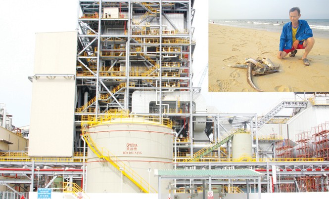 Khuất tất việc xả thải ở Formosa Một góc nhà máy Formosa (ảnh lớn). Ngư dân hoang mang trước việc cá biển chết bất thường (ảnh nhỏ). Ảnh: PV.