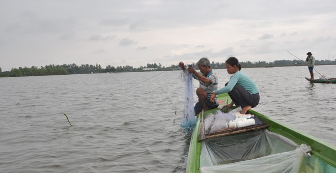Đồng bằng Sông Cửu Long: Dân rốn lũ đỏ mắt tìm cá Ông Hanh cùng con gái giăng lưới. Ảnh: Hòa Hội.