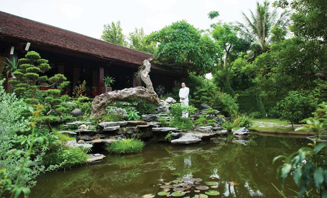 Thứ gì chơi thì không bán Cây đại dáng rồng trồng trong vườn nhà ông Sơn.