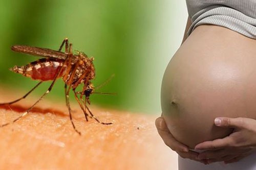 Phụ nữ chuẩn bị mang thai phải cân nhắc trước Zika Ảnh minh họa