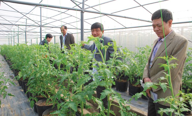 Nên lập 'ngân hàng đất nông nghiệp' Theo TS Nguyễn Đức Kiên, việc lập ngân hàng đất đai, có thể giúp các DN có diện tích đất sạch đủ lớn để đầu tư công nghệ sản xuất. Ảnh: Bình Phương.