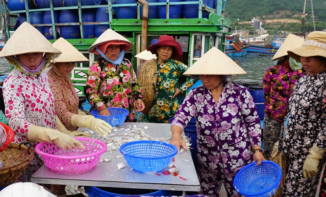 Dân mở bến cá để tự cứu Phần lớn trong số những người làm việc ở bến cá là phụ nữ.