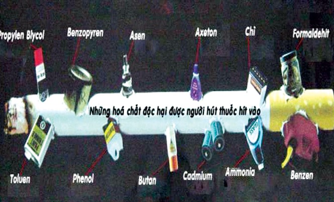 Thuốc lá và các thành phần độc hại có trong khói thuốc lá Những hóa chất độc hại có trong khói thuốc lá được người hút thuốc hít vào.