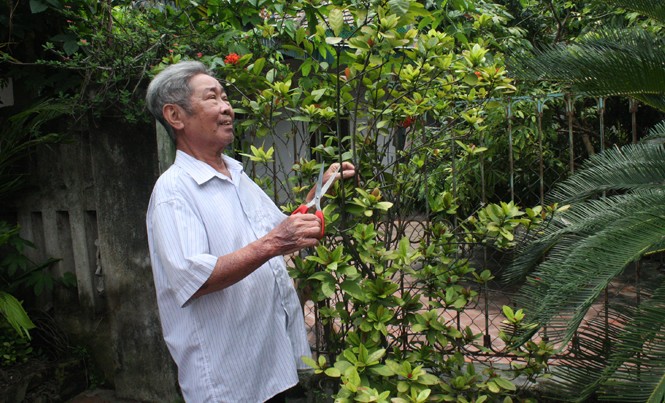 Chuyện hồ sơ đi B - Kỳ III: Mong mỏi cuối đời của thầy giáo Thiện Mong mỏi của thầy Thiện là được công nhận sự đóng góp cho chiến tranh vệ quốc.