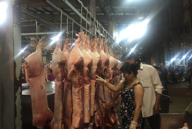 Lẻ loi thịt sạch Lẻ loi thịt sạch