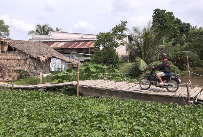 Xây cầu mới, dân phải đóng tiền “đi đò” Chiếc “đò” độc đáo tại phường Bình Thạnh, TX. Long Mỹ, tỉnh Hậu Giang. Ảnh: Kim Hà.