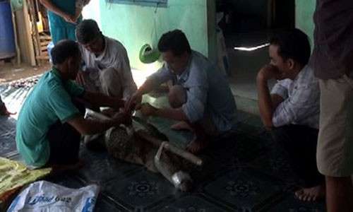 Tin đọc nhanh ngày 16/12: Bắt sống cá sấu dài 2 mét ở gần hồ Trị An Tin đọc nhanh ngày 16/12: Bắt sống cá sấu dài 2 mét ở gần hồ Trị An