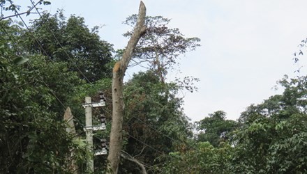 14 triệu đô có thể thành phế liệu: Bí thư tỉnh yêu cầu giải trình 14 triệu đô có thể thành phế liệu: Bí thư tỉnh yêu cầu giải trình