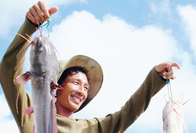 Ấm nồng Đất Mũi Bắt cá ngát ở bãi bồi Mũi Cà Mau