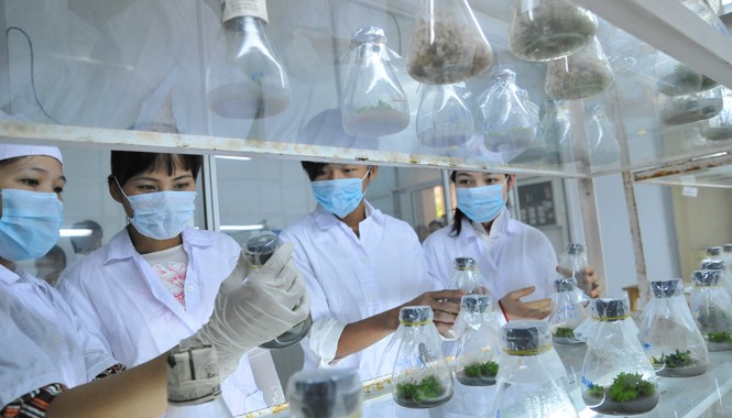 Đề tài 'giời ơi' hết đất sống? Sinh viên nghiên cứu trong phòng thí nghiệm. Ảnh: Hồng Vĩnh