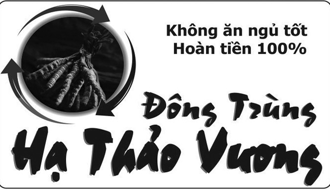 Mệt mỏi, mất ngủ, chán ăn và cam kết… là tiên? Mệt mỏi, mất ngủ, chán ăn và cam kết… là tiên?