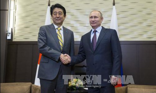 Phá lệ Thủ tướng Nhật Bản Shinzo Abe và Tổng thống Vladimir Putin.