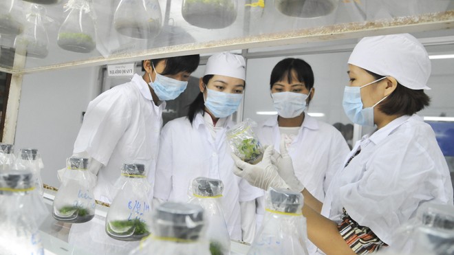 Không nói dối nhưng lo ngại cào bằng cho nhà khoa học Hạn chế lớn nhất của Thông tư 55 là lương của cán bộ nghiên cứu tính theo ngày công lao động. Ảnh: Hồng Vĩnh