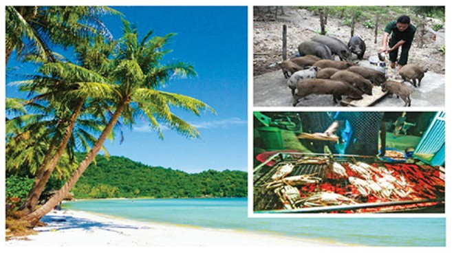 'Robinson' trên đảo thiên đường Sinh hoạt của Robinson trên đảo Thiên Đường.