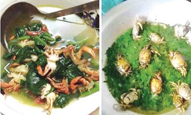 Gái vụng thời @ Canh cua nấu nguyên con