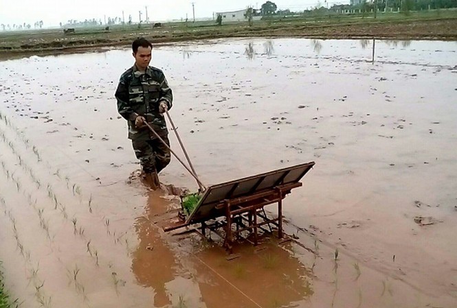 Khởi nghiệp từ máy cấy mi ni Anh Vũ Xuân Hải và sản phẩm máy cấy thủ công được nhiều nông dân lựa chọn.