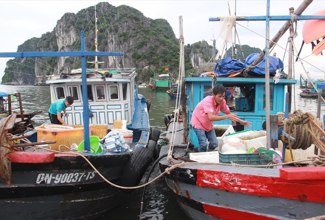 Đưa ngư dân, du khách về nơi tránh bão số 3 Ngư dân Quảng Ninh gấp rút ứng phó bão số 3