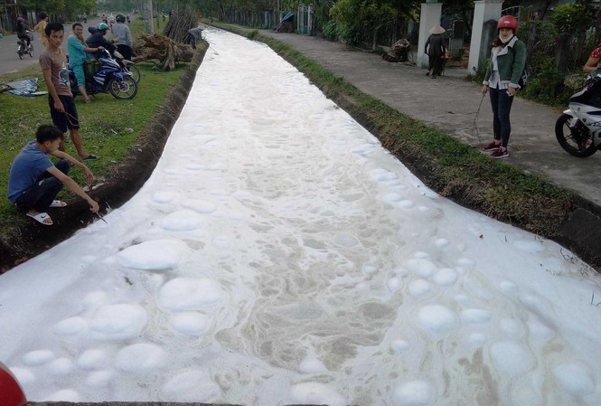 Vụ nước sủi bọt trắng kênh, cá chết ở Quảng Nam: Do rửa thùng phuy đựng “chất lạ”? Dòng kênh sủi bọt trắng bất thường