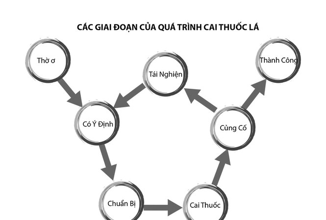 Quá trình thay đổi từ nhận thức đến hành vi trong cai nghiện thuốc lá Quá trình thay đổi từ nhận thức đến hành vi trong cai nghiện thuốc lá
