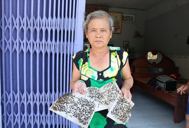Khốn khổ vì 'giặc ruồi', hôi thối Những miếng dính đầy ruồi. Ảnh: Kim Hà